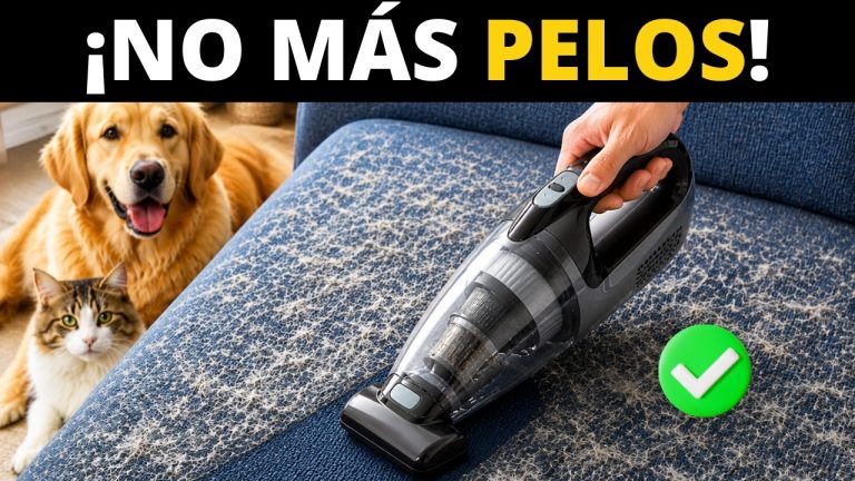 aspiradoras para casas con mascotas
