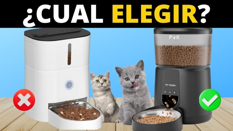 comederos automáticos para gatos