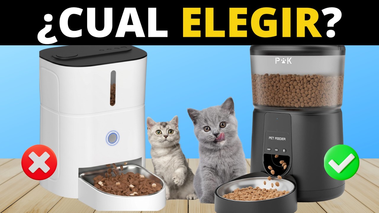 comederos automáticos para gatos
